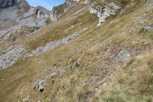 Via che porta alla Bocchetta di Rognoi