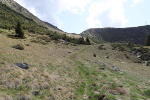 Sentiero che sale al Passo San Jorio