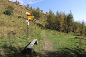 Sentiero verso l'Alpe Pietrarossa