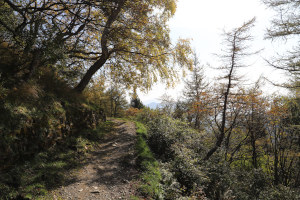 Sentiero verso l'Alpe Pietrarossa