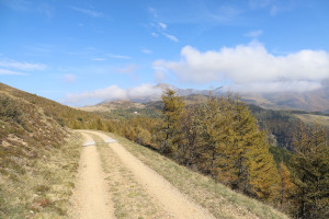 Strada verso Piandanazzo