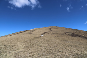 Foto di copertina