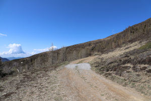 Strada verso la Capanna Monte Bar