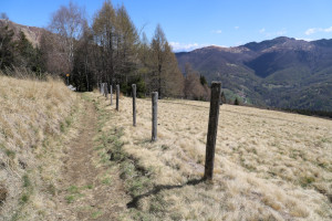 Sentiero che scende a Pianone