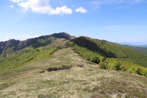 Cima di Fojorina