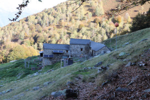 Alpe Cedullo