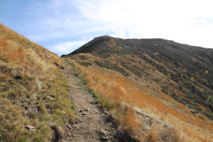 Sentiero che sale al Monte Gambarogno