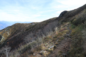 Sentiero che sale al Monte Gambarogno