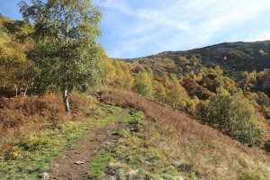 Sentiero che sale al Monte Gambarogno