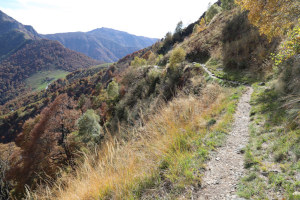 Sentiero che scende all'Alpe di Neggia