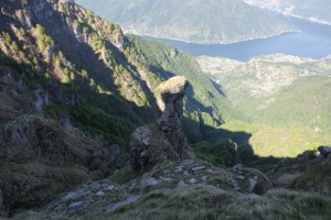 Fungo di roccia