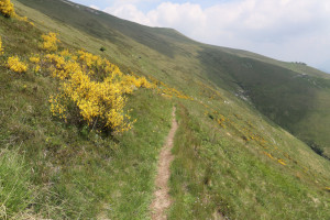 Sentiero che scende all'Alpe Génor