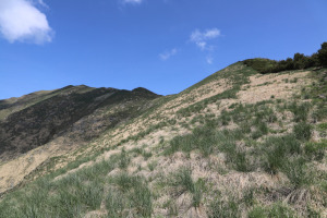 Cresta che sale al Monte Gradiccioli