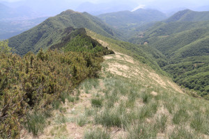 Cresta che scende dal Monte Gradiccioli