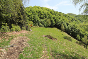 La Bassa