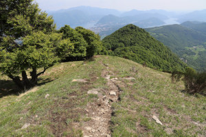 Sentiero che scende a sud del Monte Ferraro