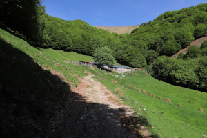 Alpe di Coransù