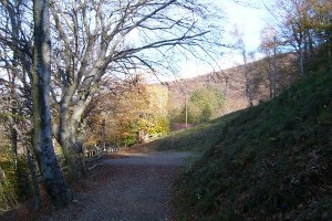 Alpe di Brusino