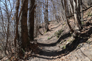 Sentiero che sale al Monte Sant'Agata