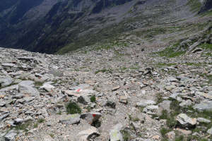 Sentiero che scende al Rifugio Sambuco