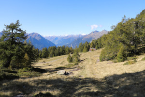 Cascina di Laghetto