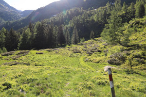 Sentiero che sale a Giggione