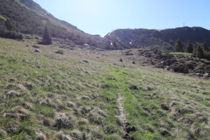 Sentiero che sale al Passo San Jorio