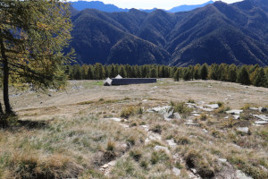 Alpe Pesced