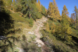 Sentiero che sale al Laghetto dei Sal&egrave;i