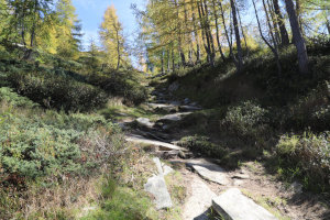 Sentiero che sale al Pizzo Zucchero
