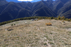 Sentiero che scende all'Alpe Pesced