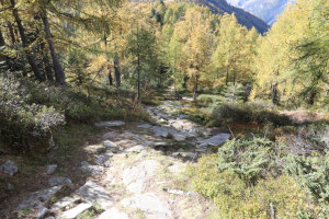 Sentiero che scende dal Pizzo Zucchero