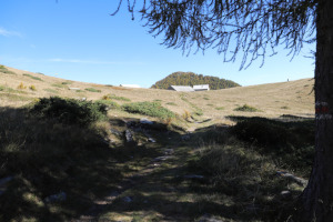 Sentiero verso la Capanna Salei