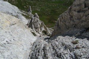 Dolomia