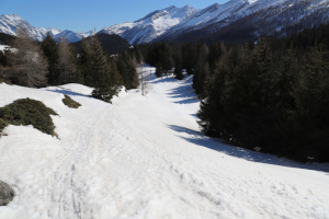 Sentiero innevato