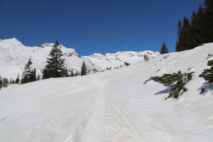 Sentiero innevato