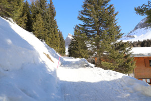 Strada innevata