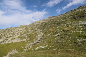 Pascoli sopra l'Alpe Scaione
