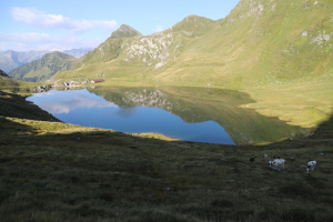 Lago di Tom
