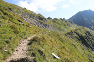 Sentiero che sale alla Bassa del Lago Scuro