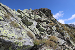 Via di salita al Piz Curnera
