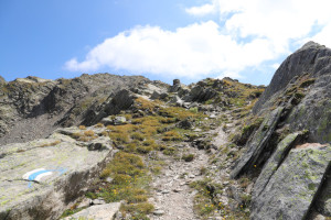 Via di salita al Piz Curnera