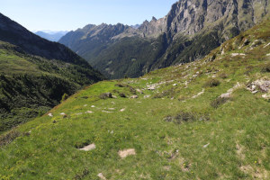 Discesa verso l'Alpe di Giümela