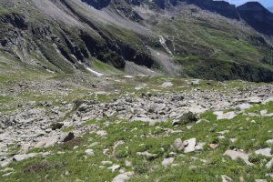 Discesa verso l'Alpe di Giümela