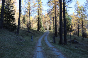 Strada che sale a Corte Nuovo