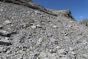 Traccia che sale al Ghiacciaio del Basòdino