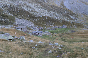 Alpe di Quarnei