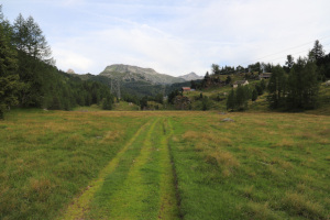 Frodalera
