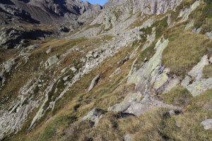 Sentiero che scende al Rifugio Sasso Nero