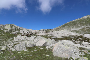 Salita verso il Pizzo dell Uomo